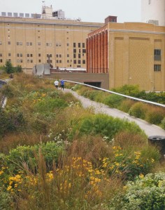 New York's High Line