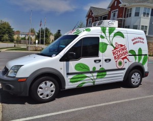 Roving_Radish-300x238