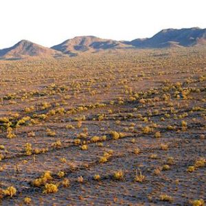 brown western landscape