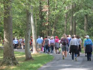 lake kitt walkers