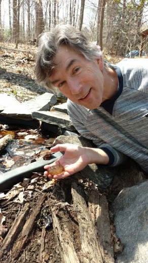 mark Southerland, salamander and pool