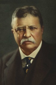 theodore_roosevelt_portrait
